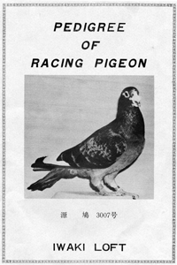 愛鳩の友