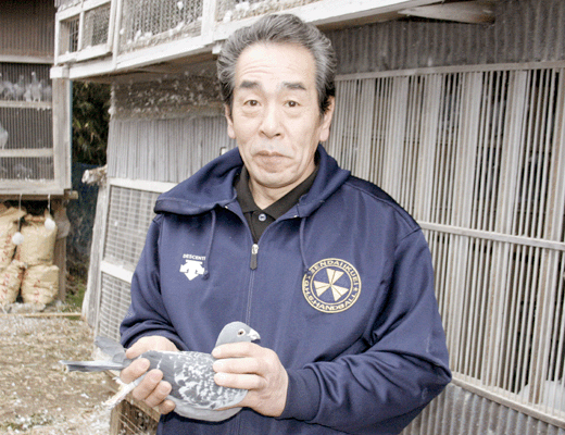 愛鳩の友