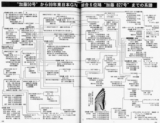 愛鳩の友