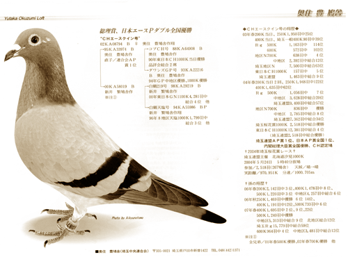 愛鳩の友