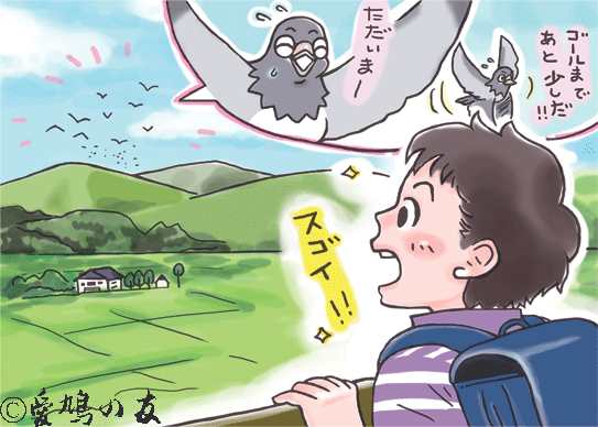 愛鳩の友